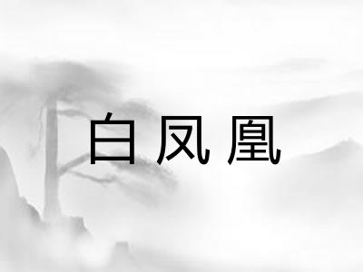 白凤凰