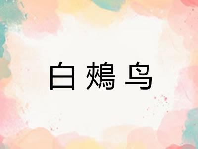 白鵊鸟
