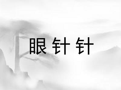 眼针针