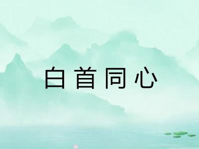 白首同心