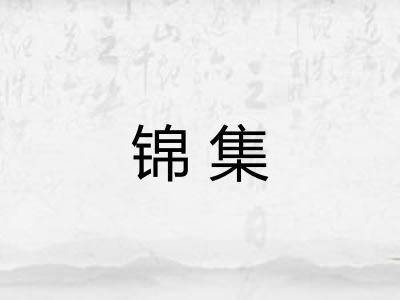 锦集
