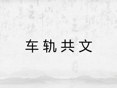 车轨共文