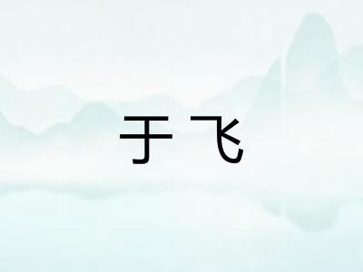 于飞