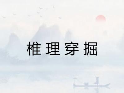 椎理穿掘