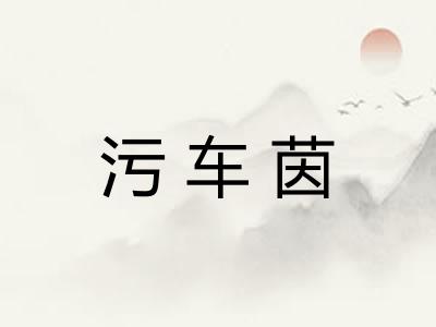 污车茵