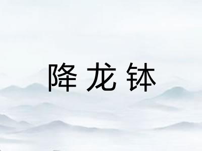 降龙钵