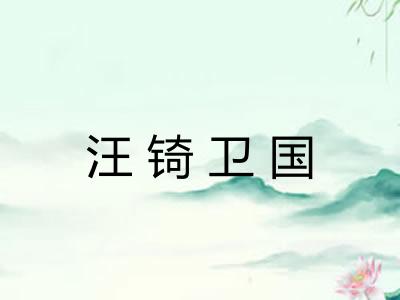 汪锜卫国