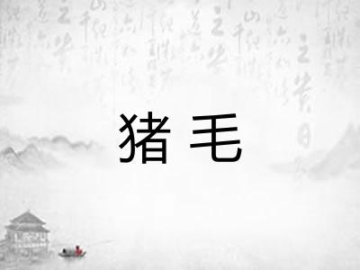 猪毛