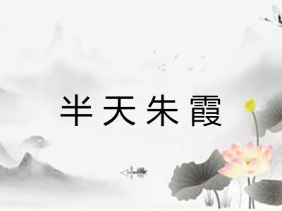 半天朱霞