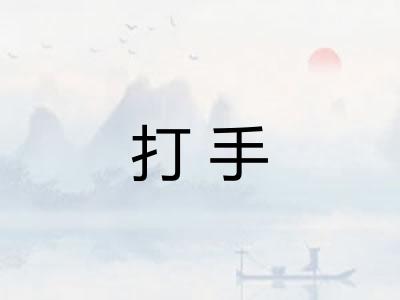 打手