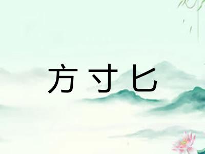 方寸匕