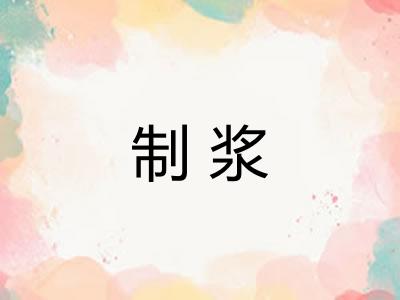 制浆