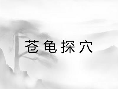 苍龟探穴