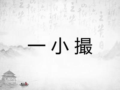 一小撮