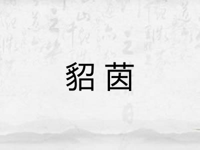 貂茵