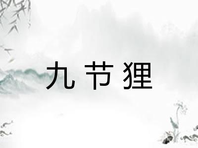 九节狸