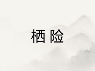 栖险