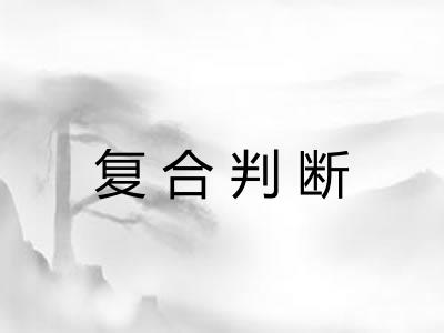 复合判断