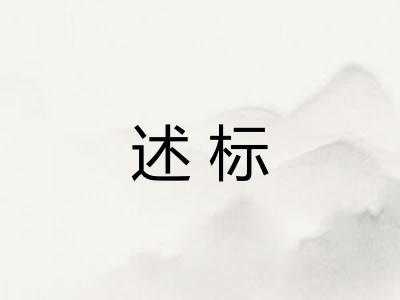 述标