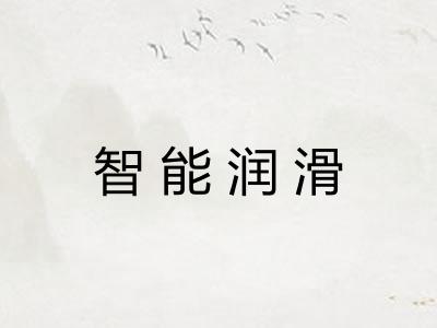 智能润滑