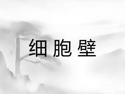 细胞壁