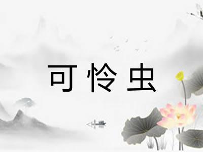 可怜虫
