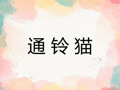 通铃猫