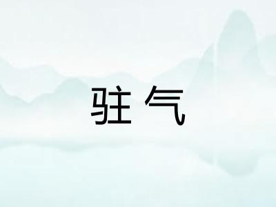 驻气