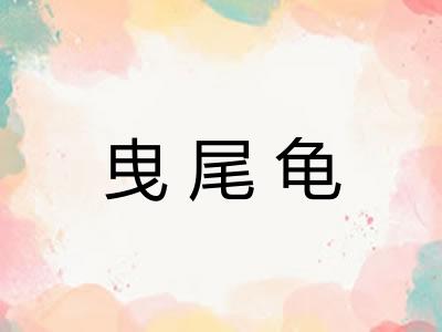 曳尾龟