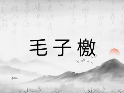 毛子檄
