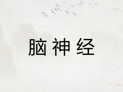 脑神经