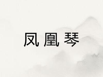 凤凰琴
