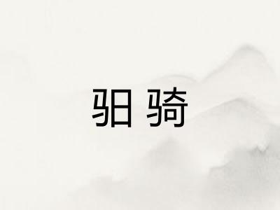 驲骑