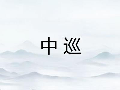 中巡