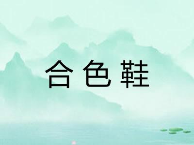 合色鞋