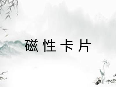 磁性卡片