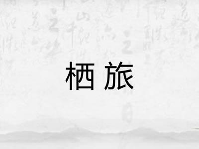 栖旅