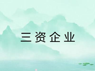 三资企业