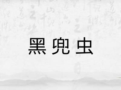 黑兜虫
