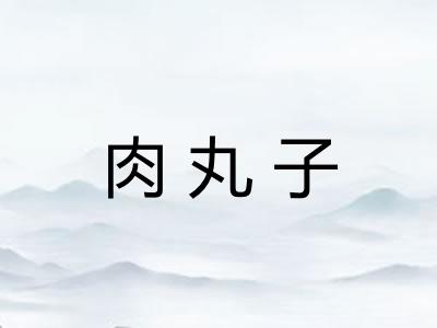 肉丸子