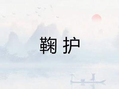 鞠护