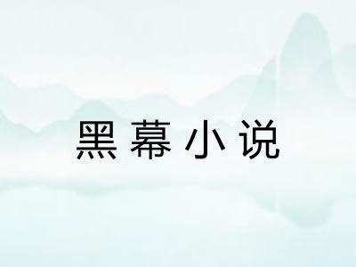 黑幕小说