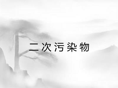 二次污染物