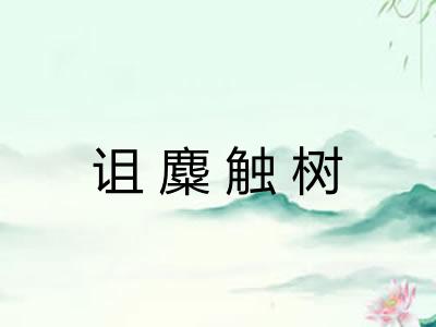 诅麋触树