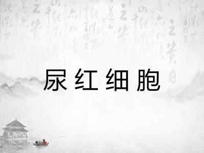 尿红细胞