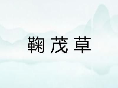 鞠茂草