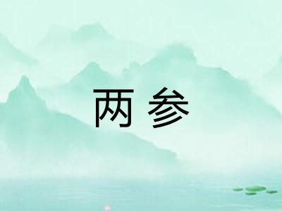 两参