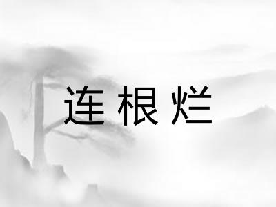 连根烂