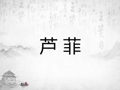 芦菲