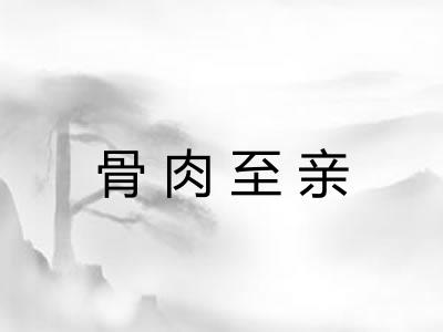 骨肉至亲